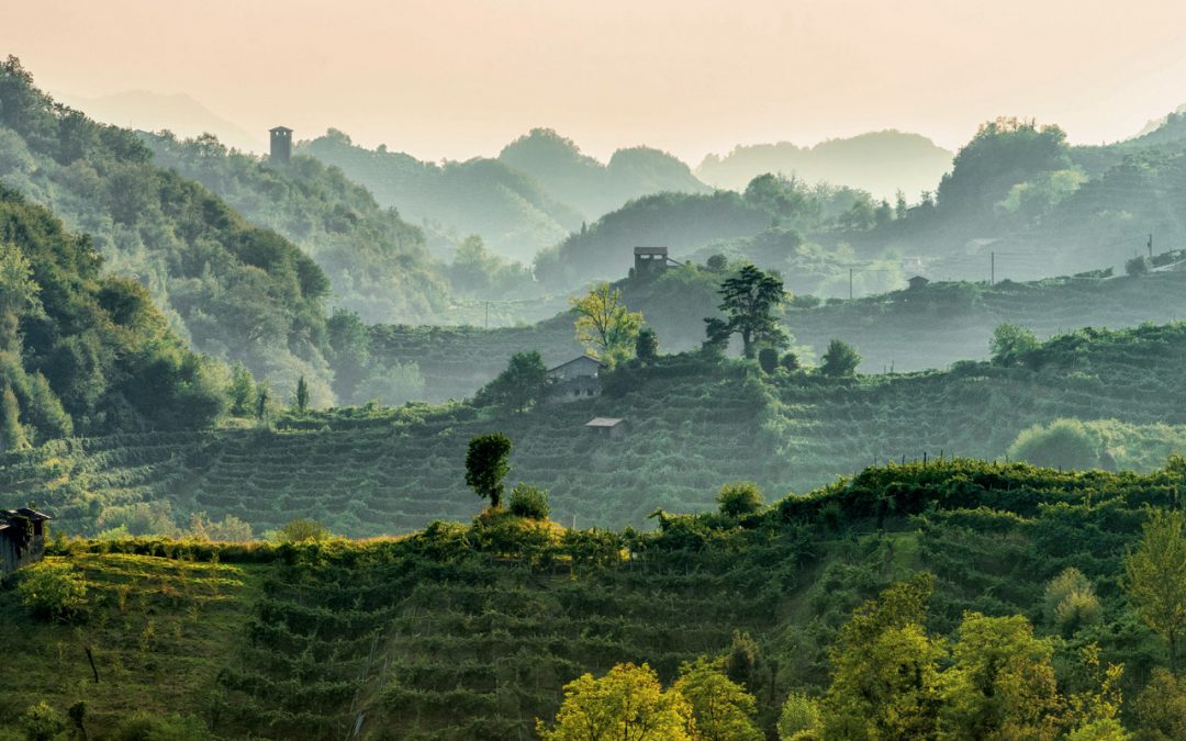 Prosecco Hills