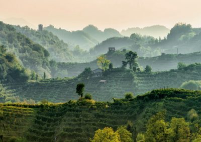 Colline del Prosecco