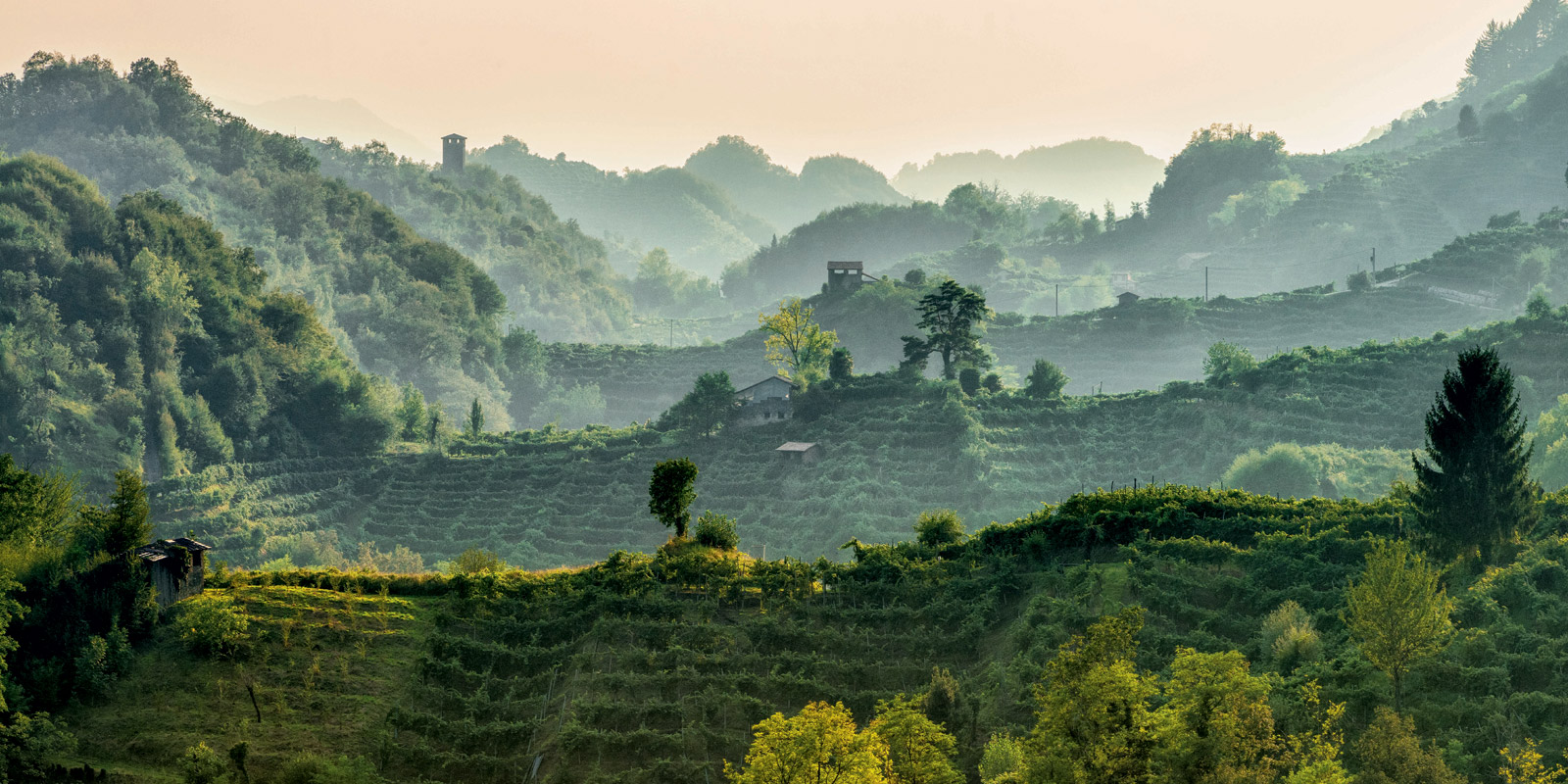 Colline del Prosecco