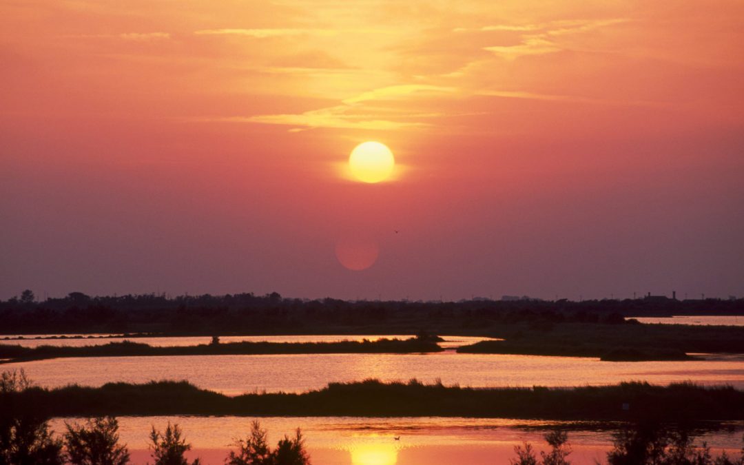 The Po Delta