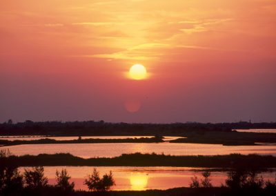Parco del Delta del Po