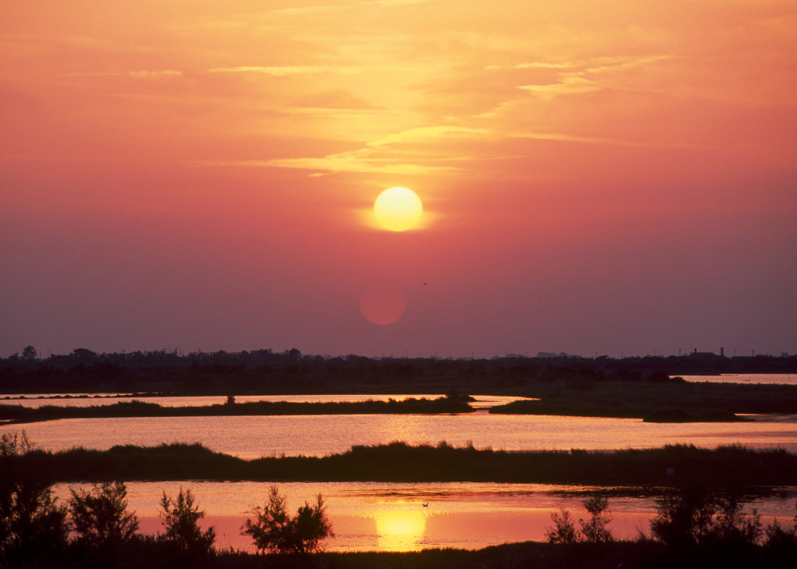 Parco del Delta del Po