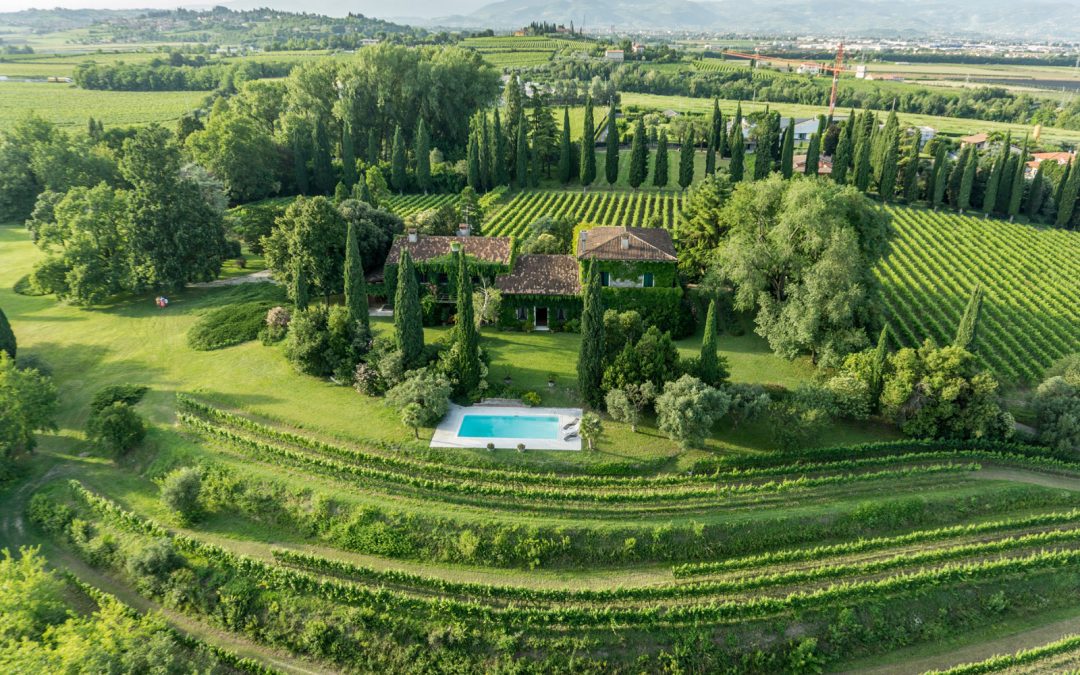 Wine experience