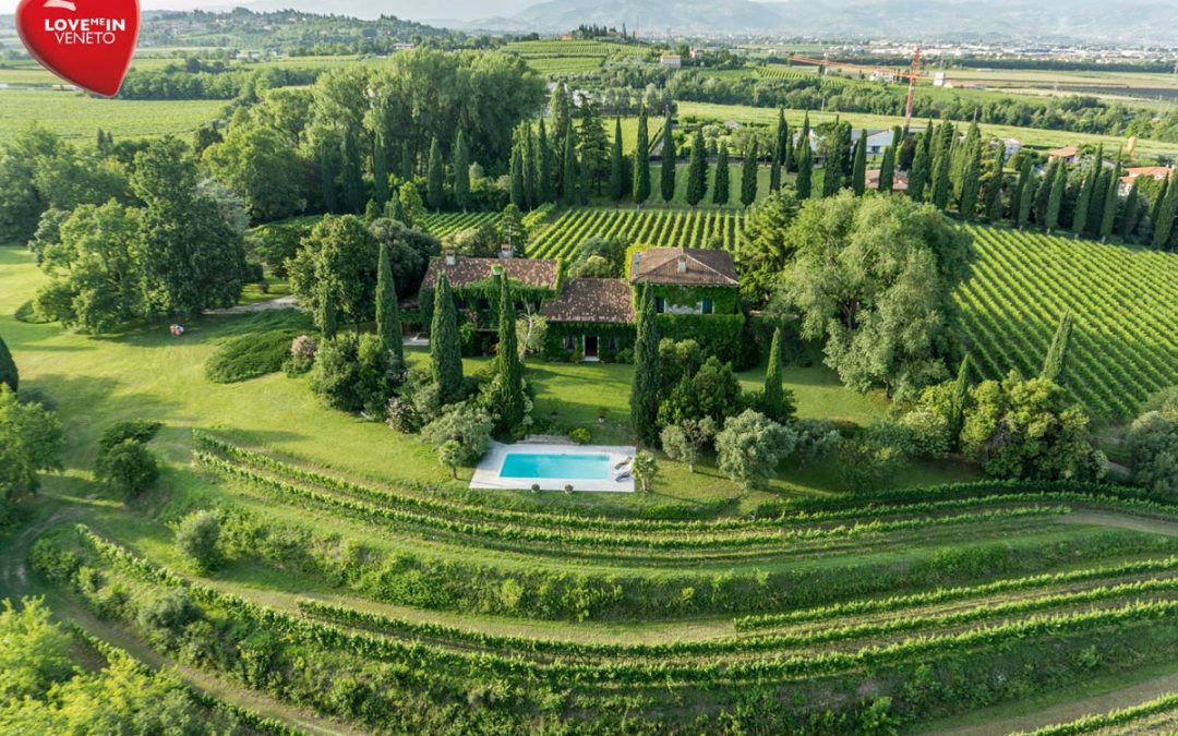Wine experience on Valentine’s Day