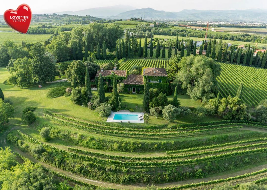 Wine experience a San Valentino